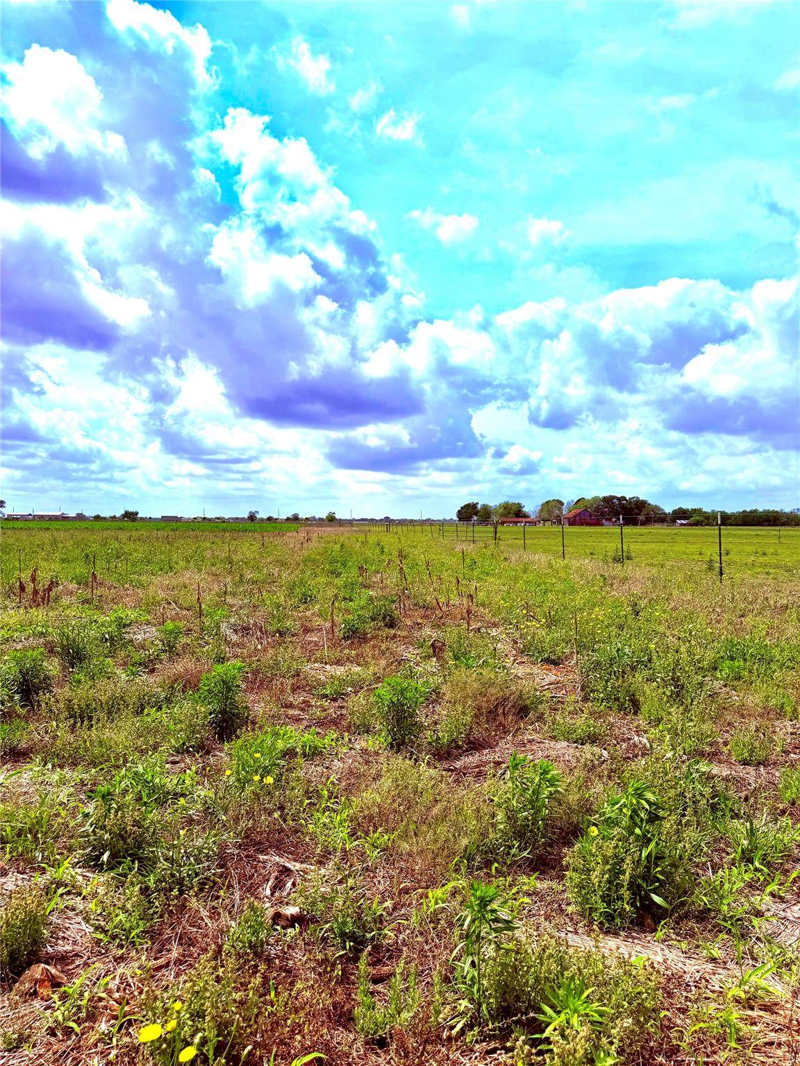 4421 Polak Rd Rd - Photo 1