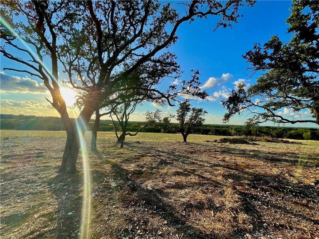 178 Horned Frog Ct - Photo 1