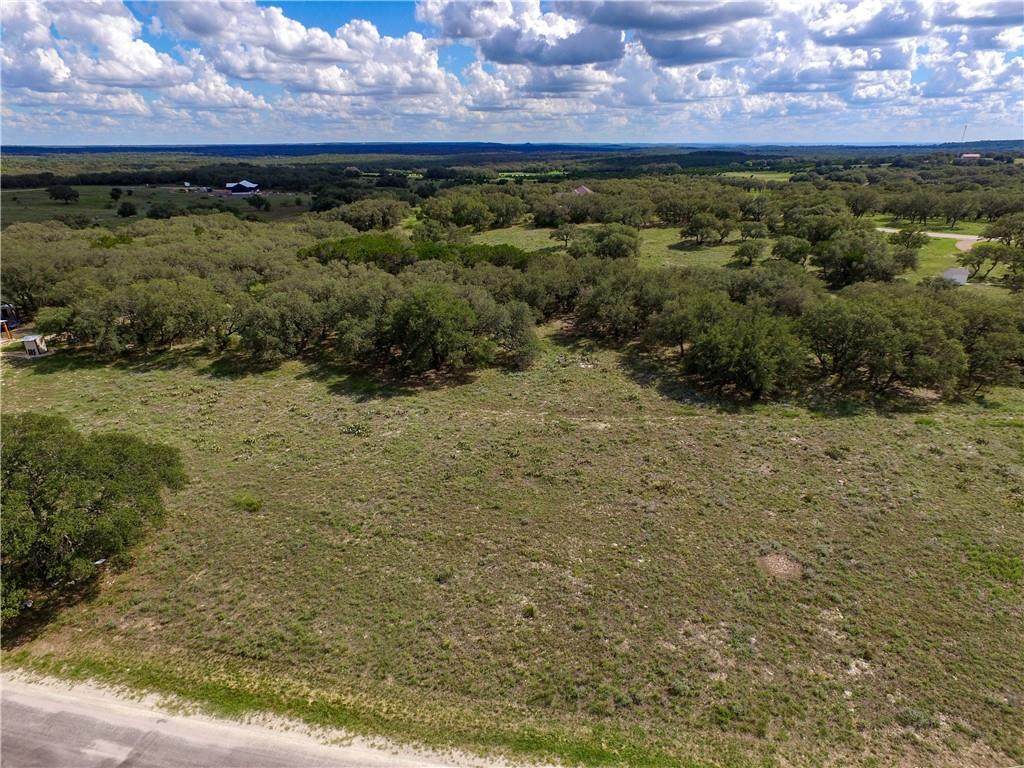 Lot 79 Blackbuck Ridge Dr - Photo 1