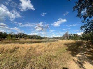 Lot 18 of Ranches Woodland Trail Rnch - Photo 1