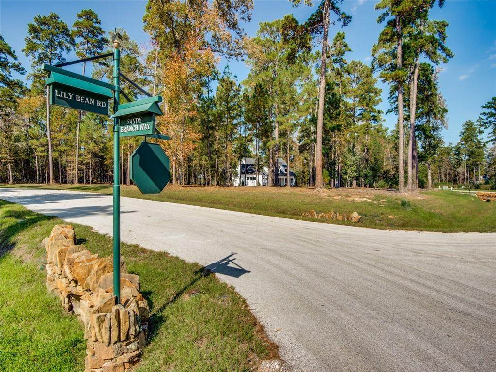 26106 Sandy Branch Way - Photo 1