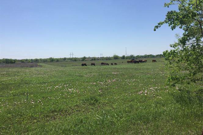 360 County Road 462 - Photo 1
