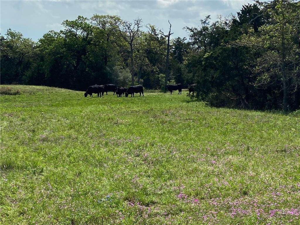 00 Greens Creek Rd - Photo 1