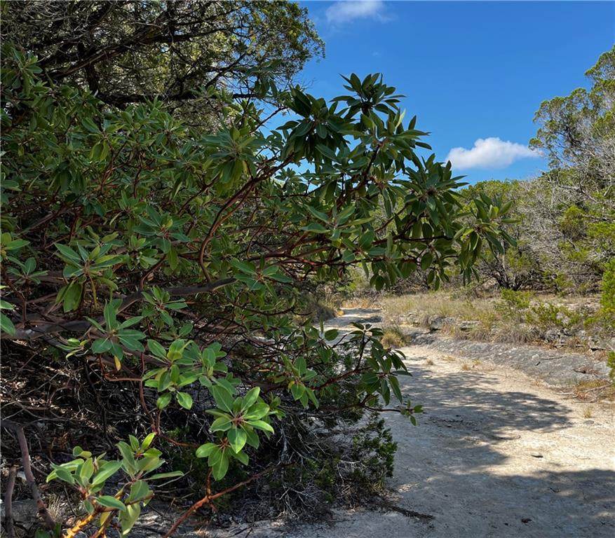 TBD Old Red Ranch Rd - Photo 1