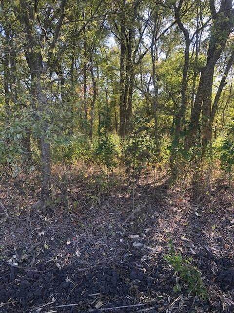 0 County Rd 405 - Photo 1