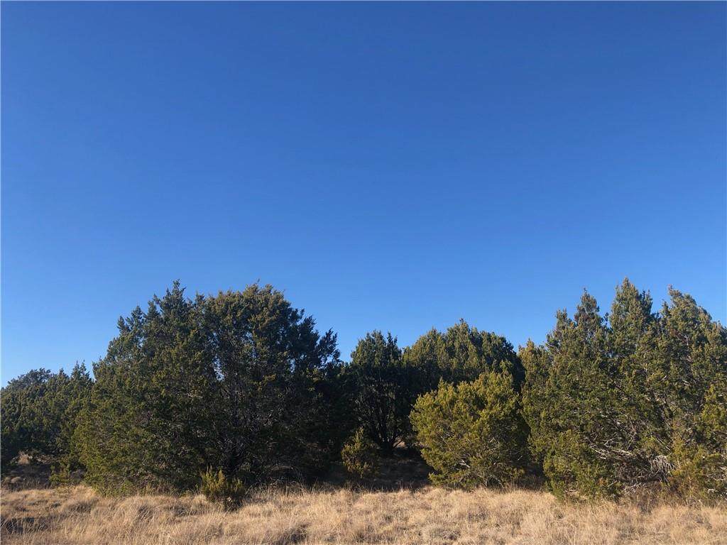 Lot #4 515 County Road 330A - Photo 1