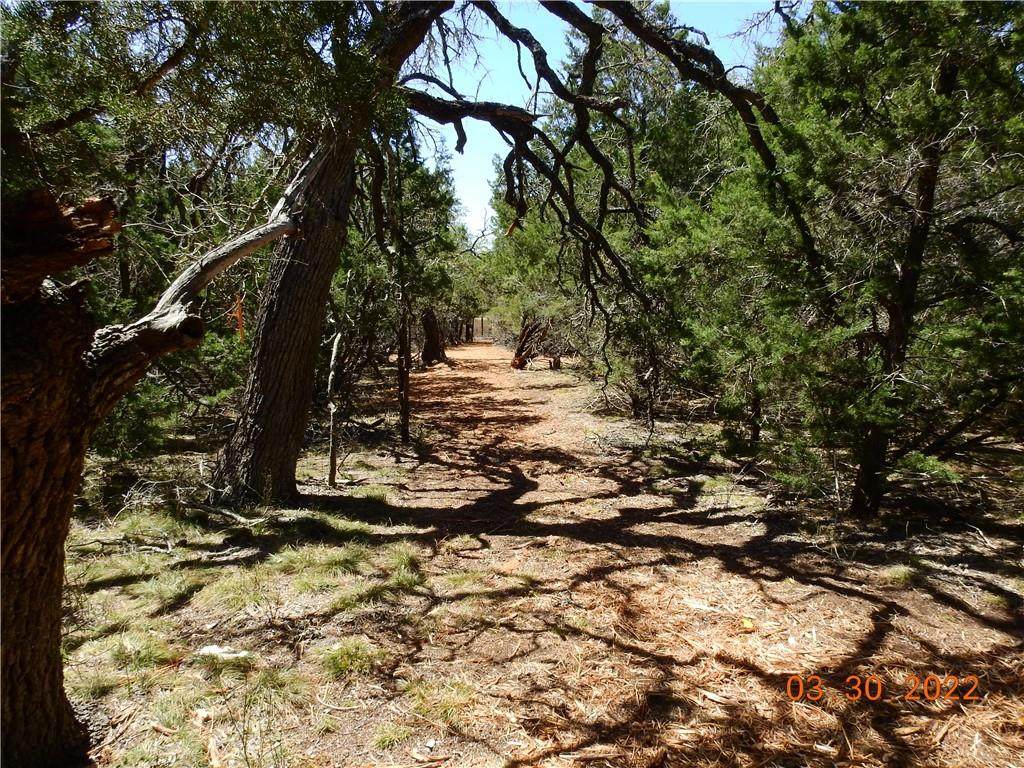 TBD Lot 2 County Road 200 - Photo 1