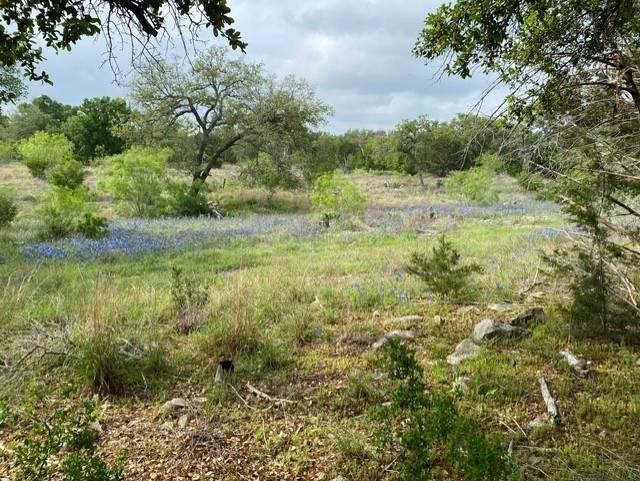 1365 Pedernales Hills Rd - Photo 1