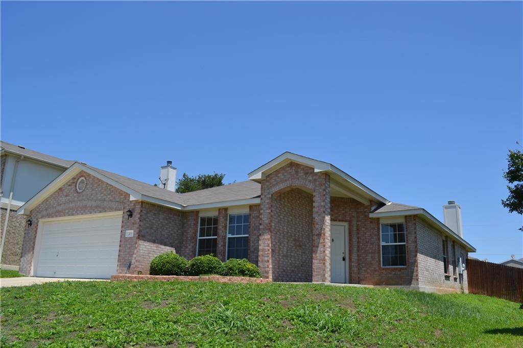 703 White Hawk Trl - Photo 1