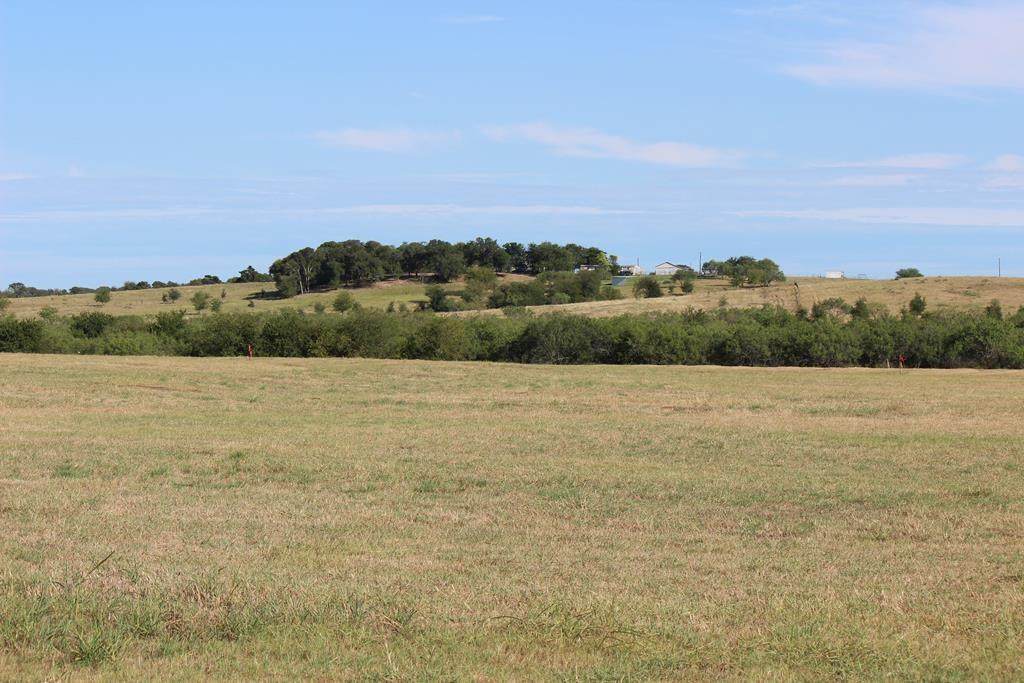 365 Black Ankle Rd - Photo 1