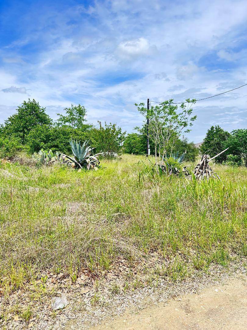 126 Wild Bird Loop - Photo 1