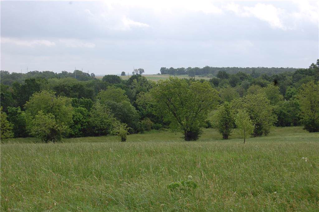Tract 7 Lee Cr 313 - Photo 1