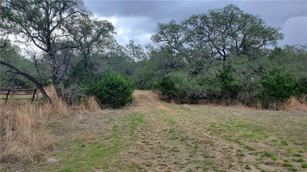 TBD Pedernales Hills Rd - Photo 1
