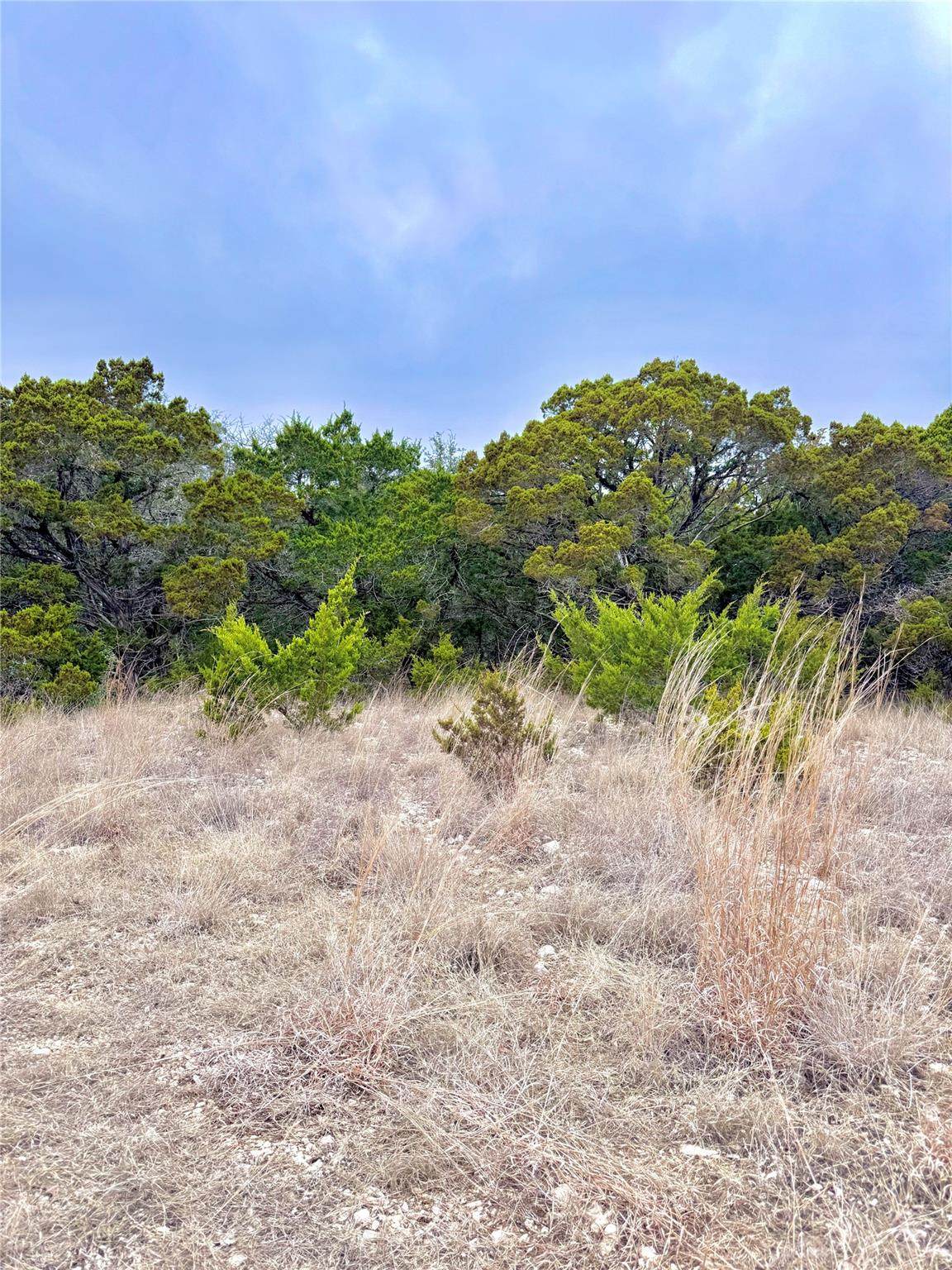 https://bt-photos.global.ssl.fastly.net/austin/1280_boomver_1_3934597-2.jpg