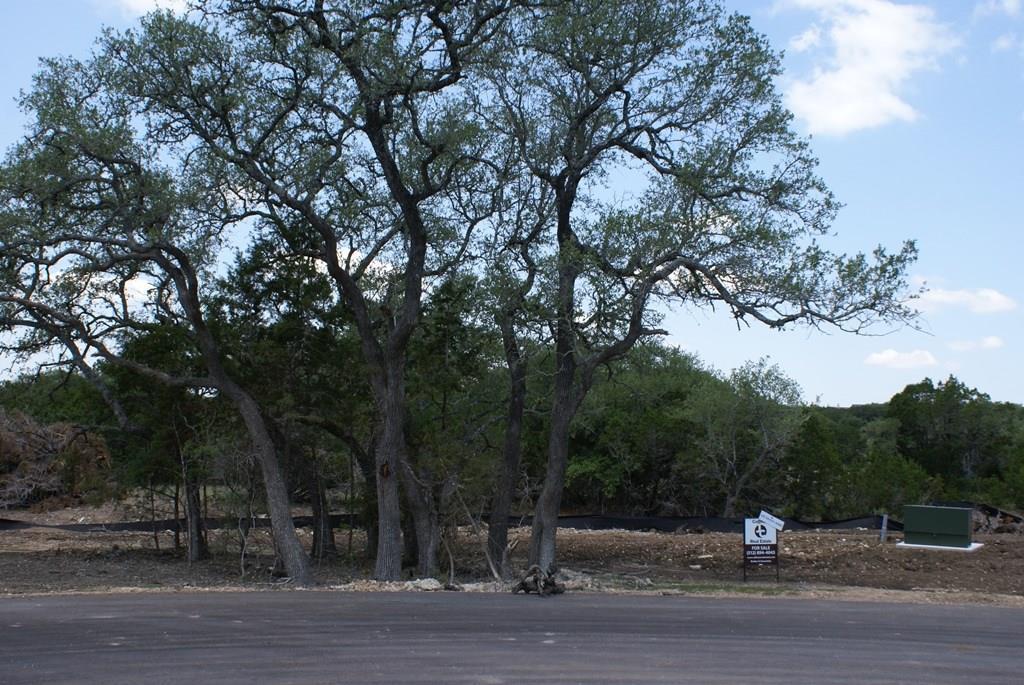 000 Lot 22 Calvary Cove - Photo 1