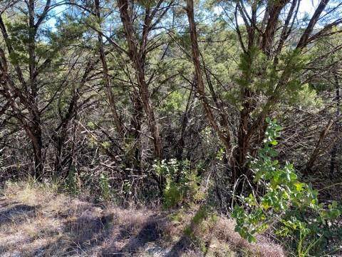 20900 Post Oak Dr - Photo 1