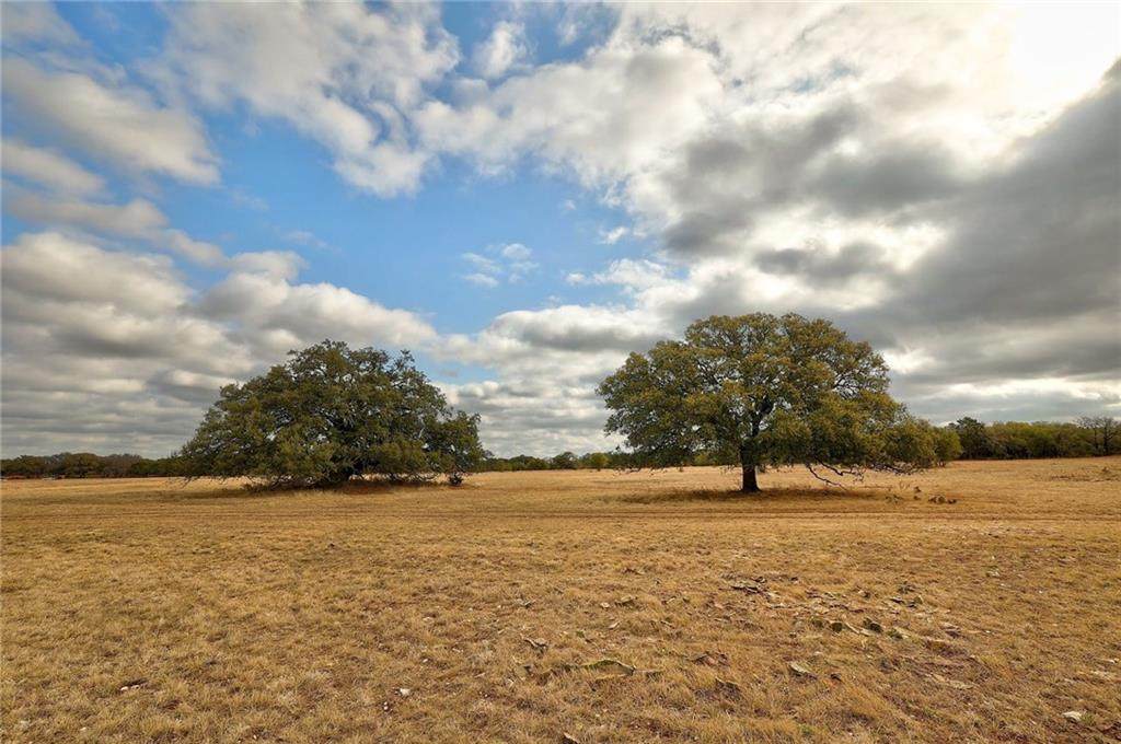 00 County Road 103 - Photo 1