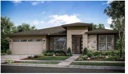 8417 Hubble Walk - Photo 1