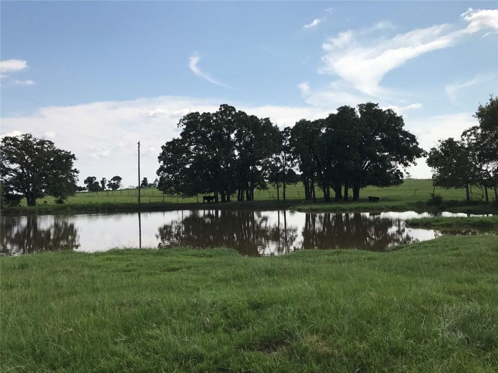 Tract 2 County Road 458A - Photo 1
