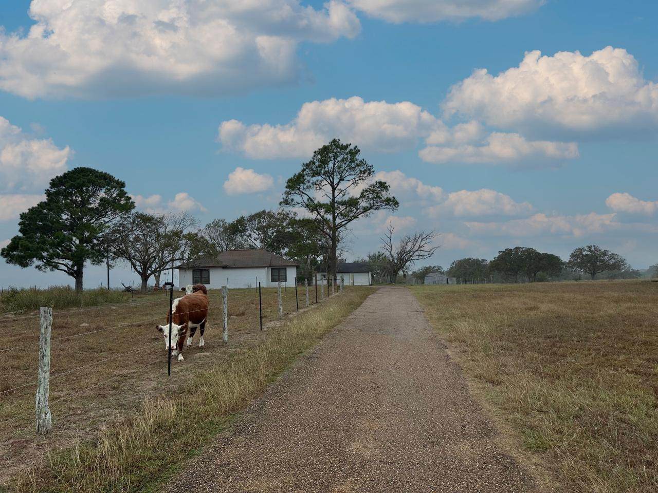 https://bt-photos.global.ssl.fastly.net/austin/1280_boomver_1_4000390-2.jpg