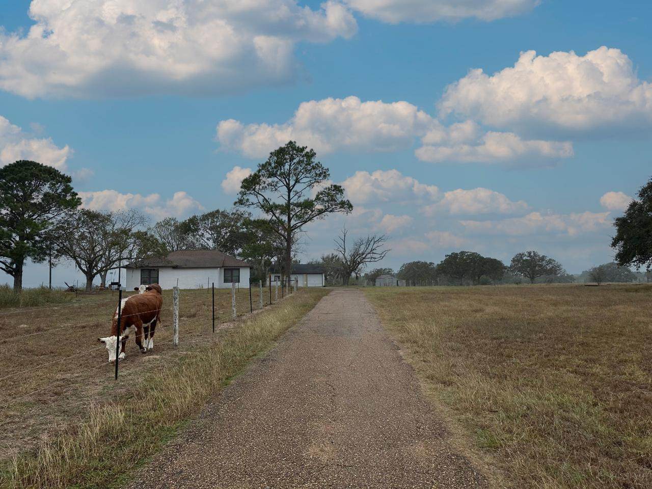 https://bt-photos.global.ssl.fastly.net/austin/1280_boomver_1_4000390-2.jpg