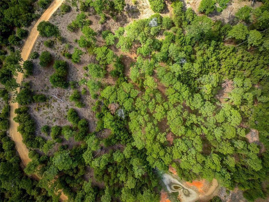 Lot 2 Felix Rd - Photo 1