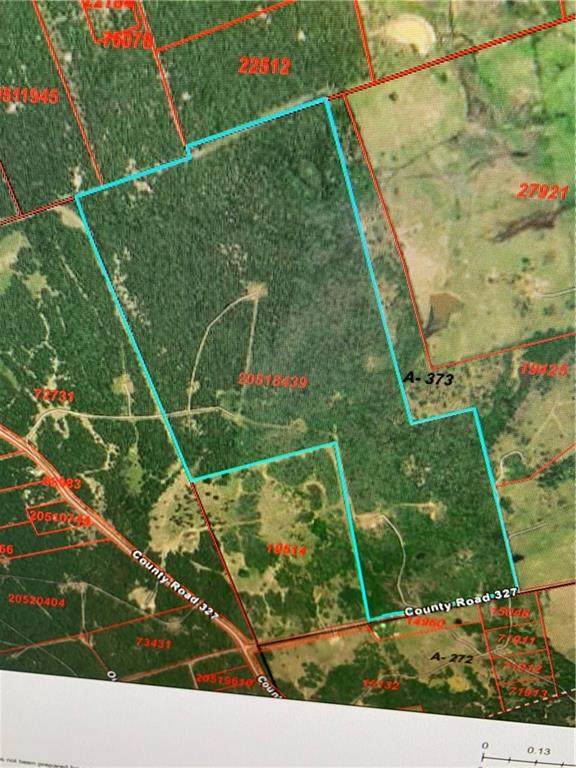 TBD County Road 327 Ctr - Photo 1