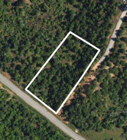 TBD - Lot 4 Colovista Dr - Photo 1