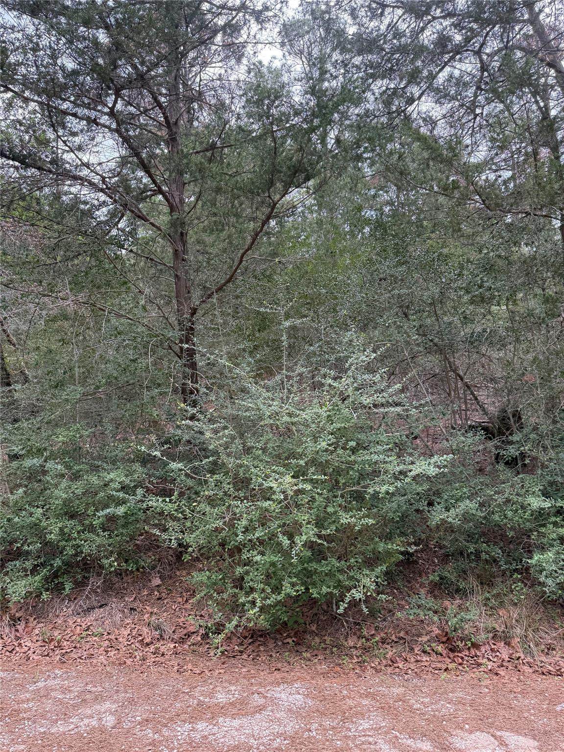 Lot 1428 Keeau Ct - Photo 1