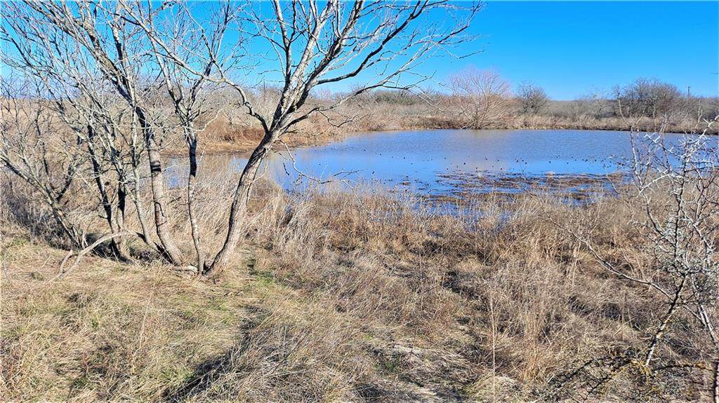 Tract B Cr 437 Ct - Photo 1