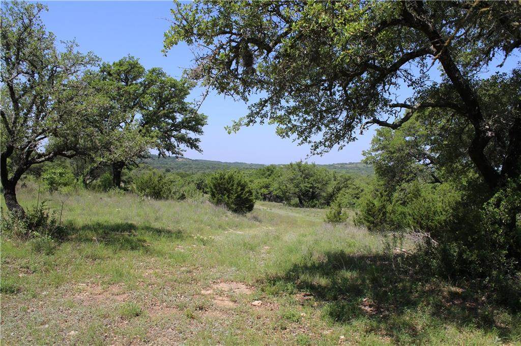 Lot 1 Esperanza Trl - Photo 1