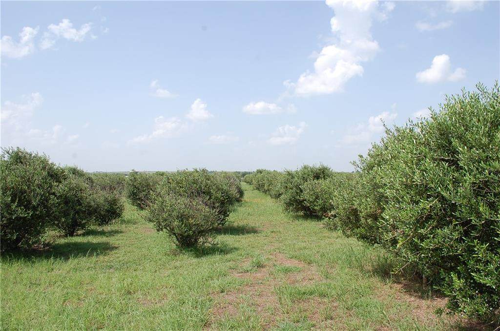 780 County Rd 330 - Photo 1