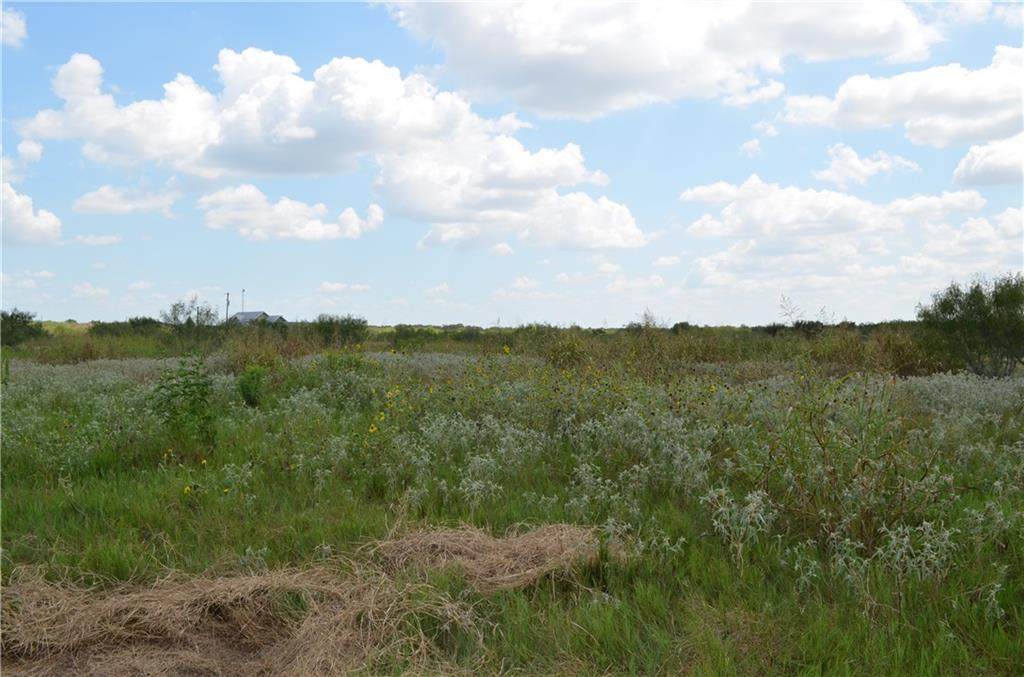 000 County Rd 434 Thorndale Tx 765 Rd - Photo 1
