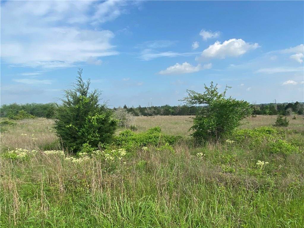 7446 State Highway 159 - Photo 1