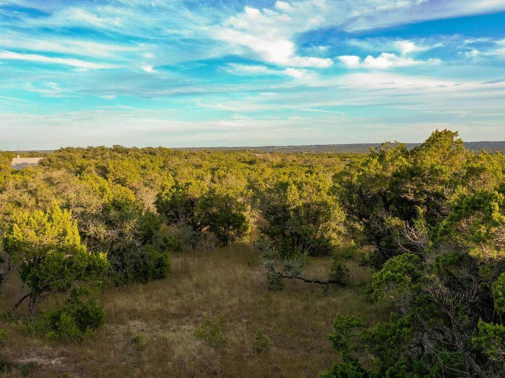 19.84 acres off Rr 12 & Mirela Anne - Photo 1