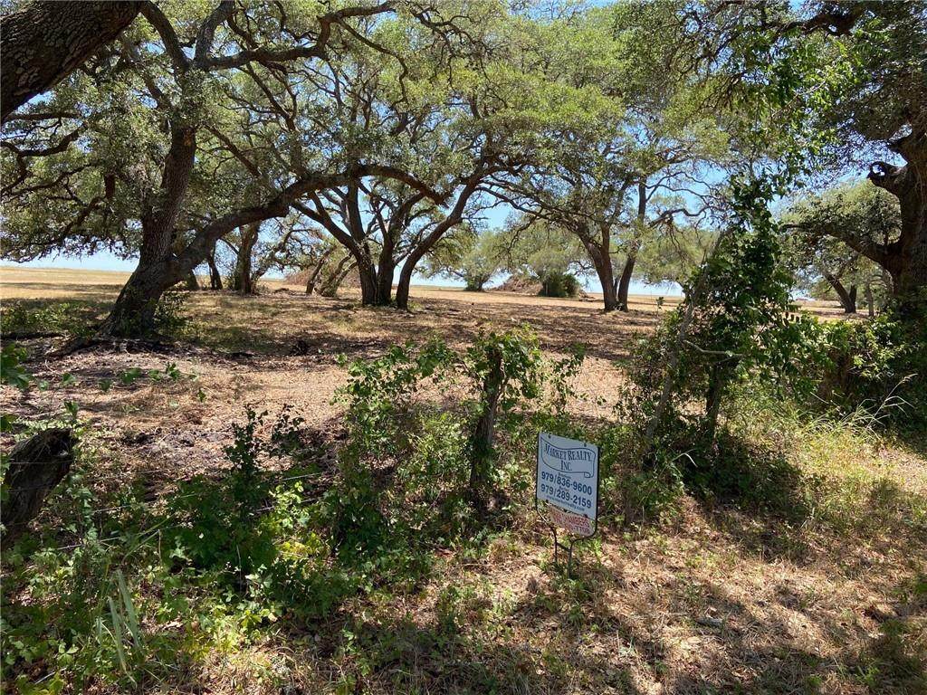Tract 9 Roitsch Rd - Photo 1