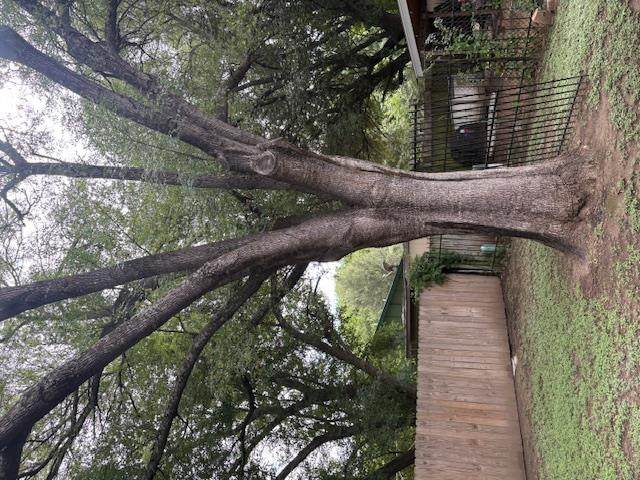 https://bt-photos.global.ssl.fastly.net/austin/orig_boomver_1_4250099-2.jpg