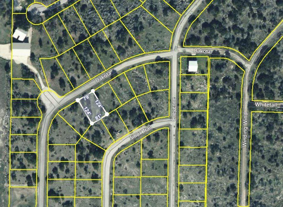 Lot 29089 Dakota - Photo 1