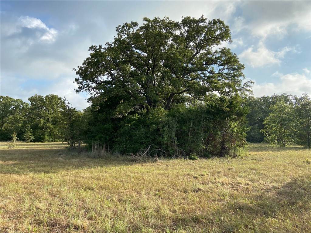 1220 County Road 327 - Photo 1