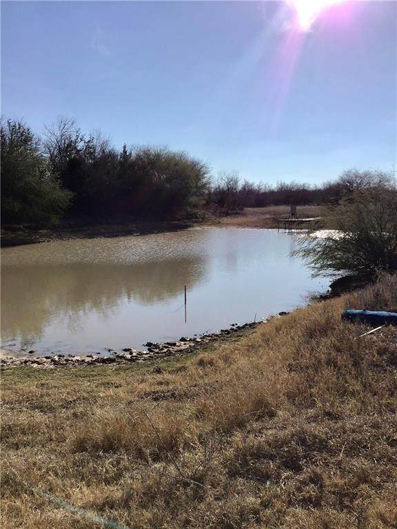 TBD Tract F County Road 235 - Photo 1