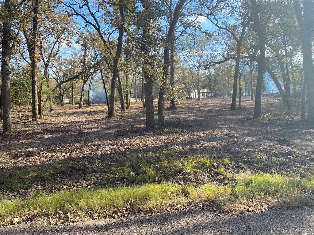 TBD Post Oak Loop Dr - Photo 1
