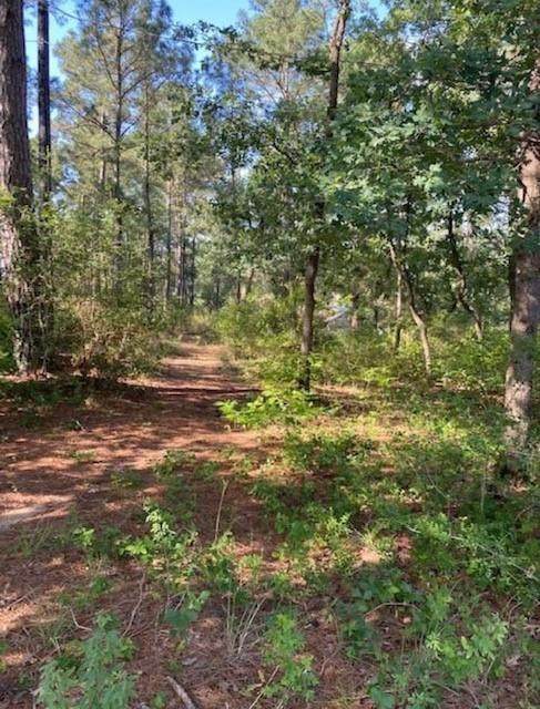 Lot 1641 Onini Ct - Photo 1