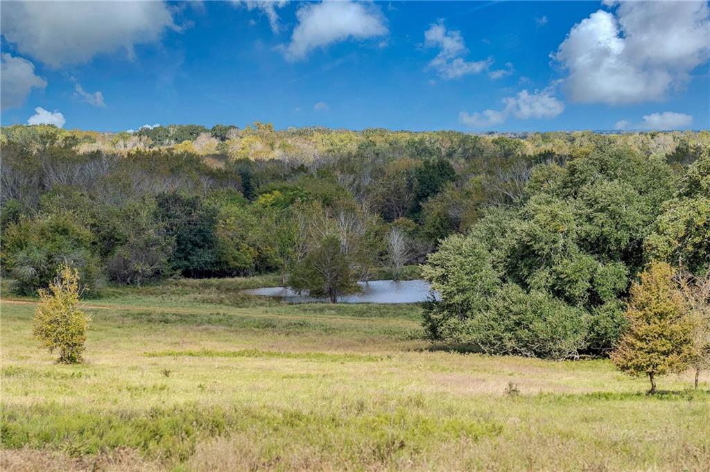 1545 B Fm 1697 - Photo 1