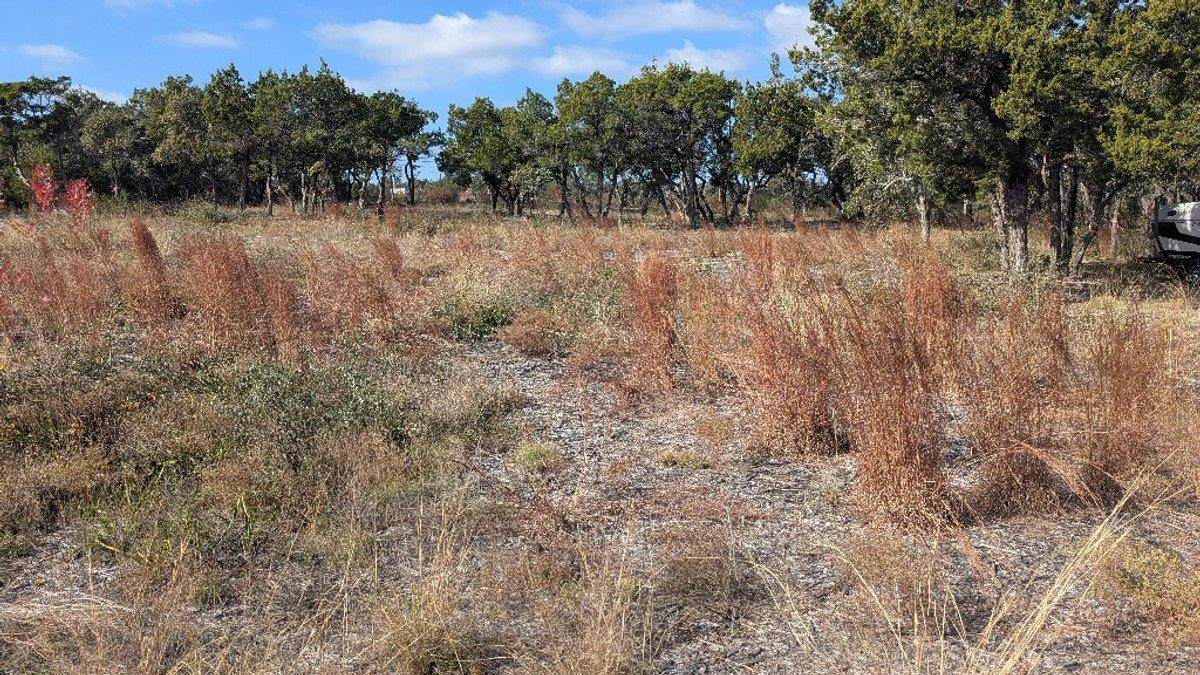 15765 Hamilton Pool Rd - Photo 1