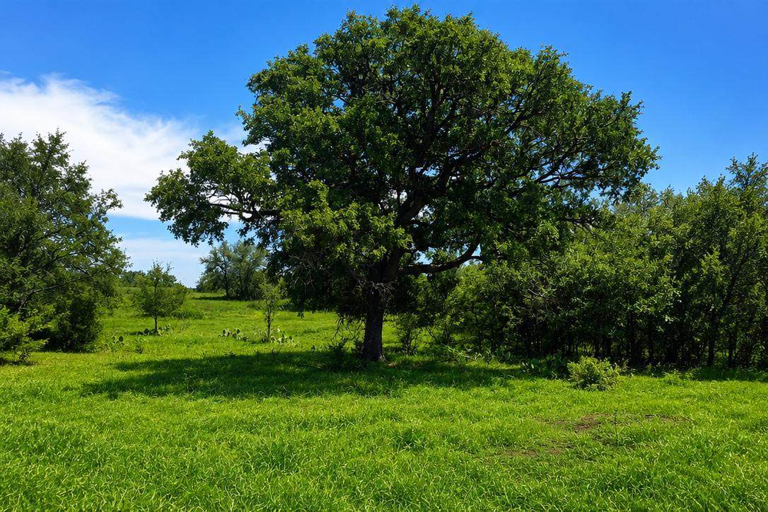 https://bt-photos.global.ssl.fastly.net/austin/1280_boomver_1_4575781-2.jpg