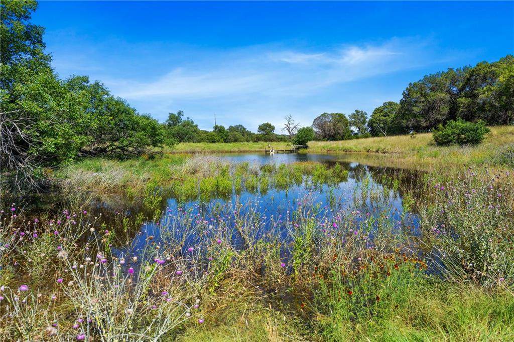 26909 Hamilton Pool Rd - Photo 1