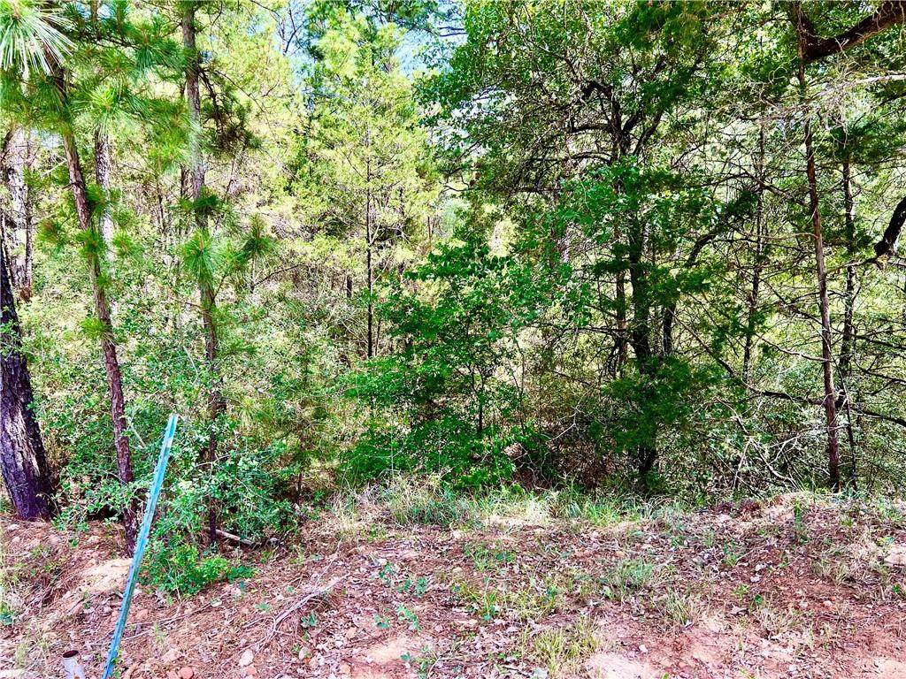 127 & 133 Lamaloa Ln - Photo 1