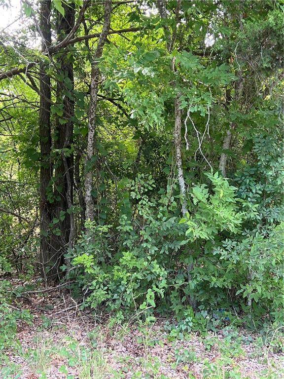 TBD-3 Meadow Creek Dr - Photo 1