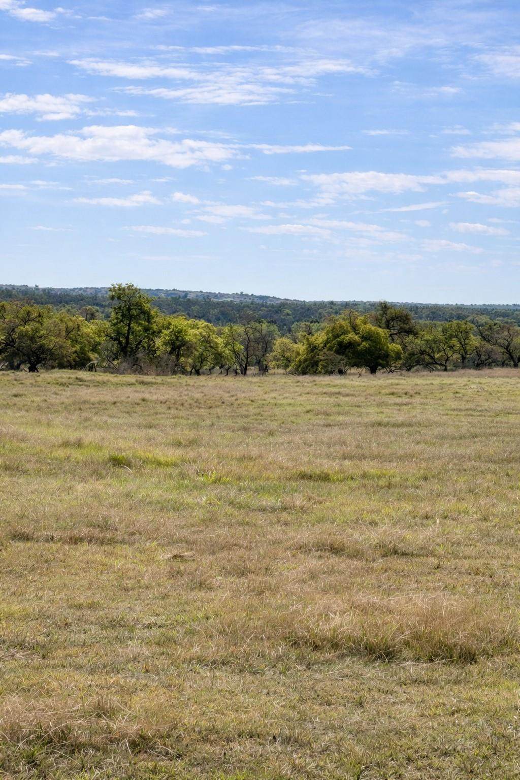 Lot 42 Reeh Rd - Photo 1