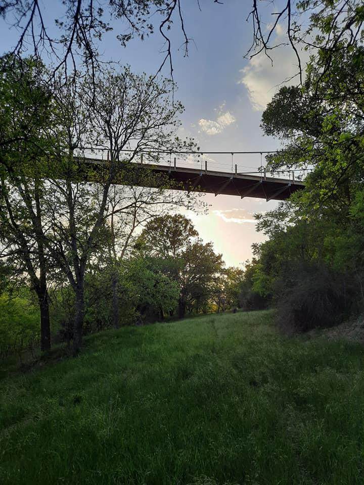 441 County Road 433 - Photo 1